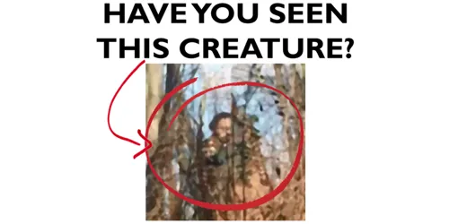 Have you seen this creature? With a distorted image