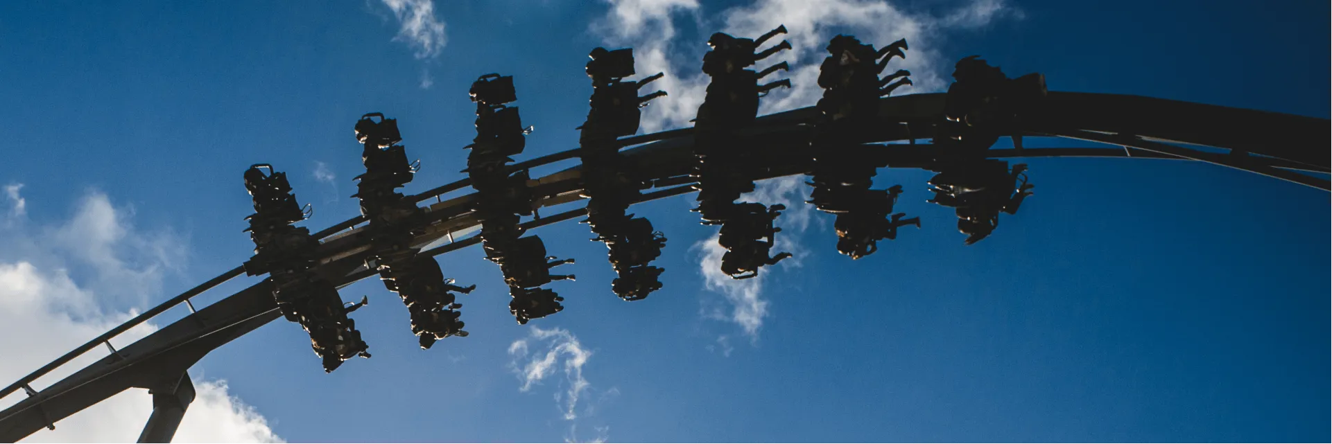 Swarm Winged Coaster Silhouette