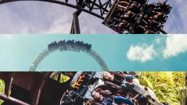 Rollercoaster Collage
