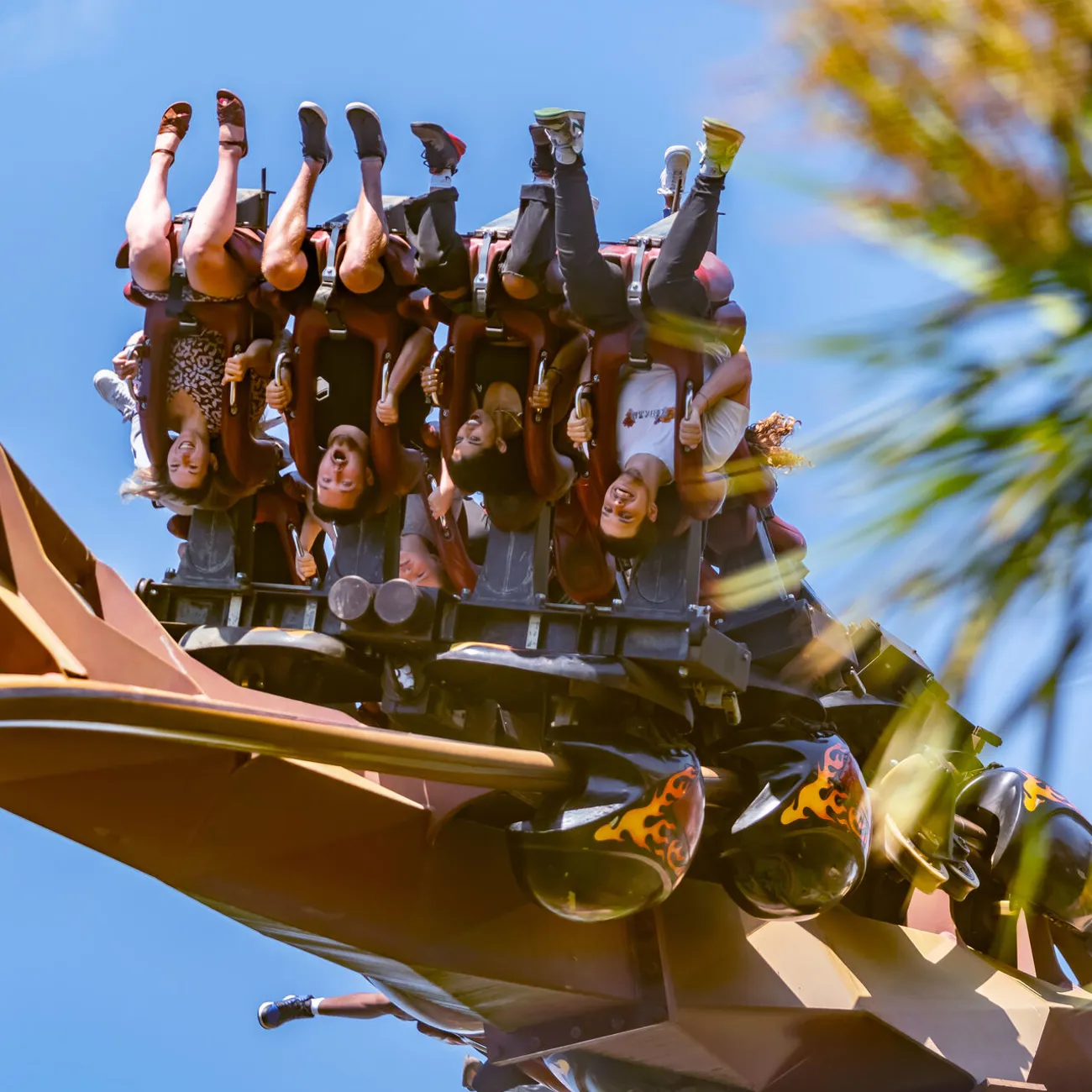 Ride Access Pass | Thorpe Park