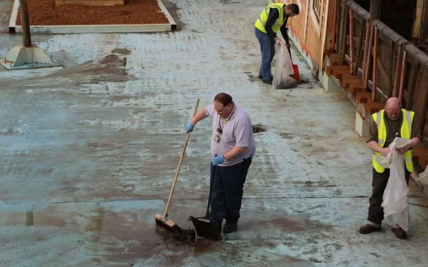 Employees cleaning 