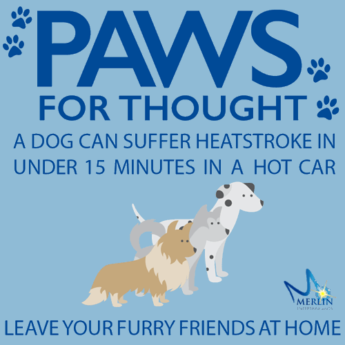Paws for thought. A dog can suffer heatstroke in under 15 minutes in a hot car. Leave you furry friends at home