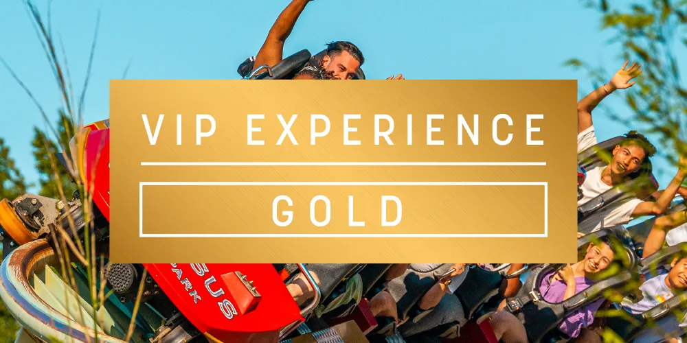 VIP Gold Experience