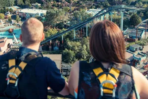 Roller Coaster Climb Experience