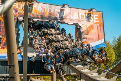THE SWARM At Thorpe Park 4