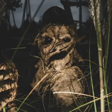 The Crows Scare Maze Experience