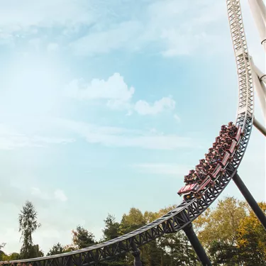 Stealth Launched Roller Coaster Drop