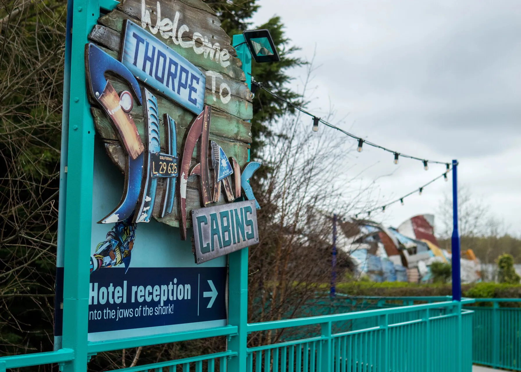 P1021212 Website 7X5