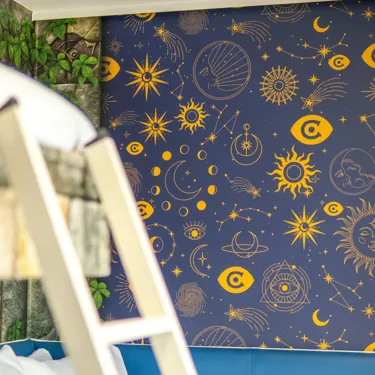 Scrolling Image Colossus Vinyl Art Website 7X5