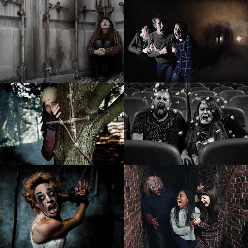Fright Nights Mazes Collage Visual
