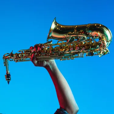 Fat Brass Jazz Band