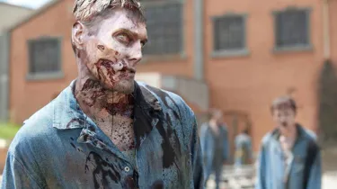 Walking Dead Walkers closeup