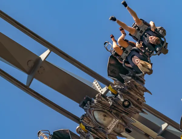 The Swarm