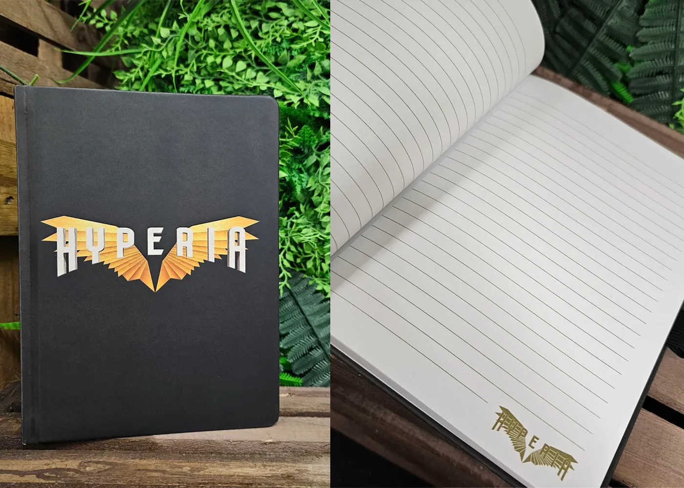 In Blog Post Image Notebook