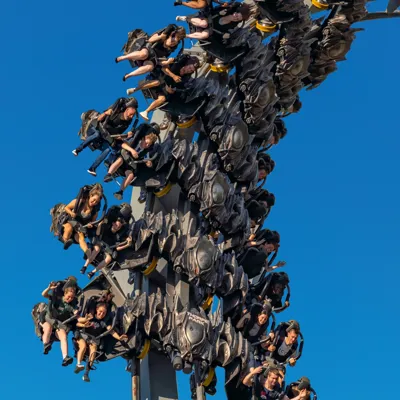 Swarm