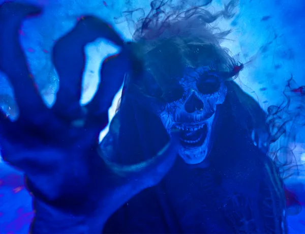 In Blog Image Deadbeat 1